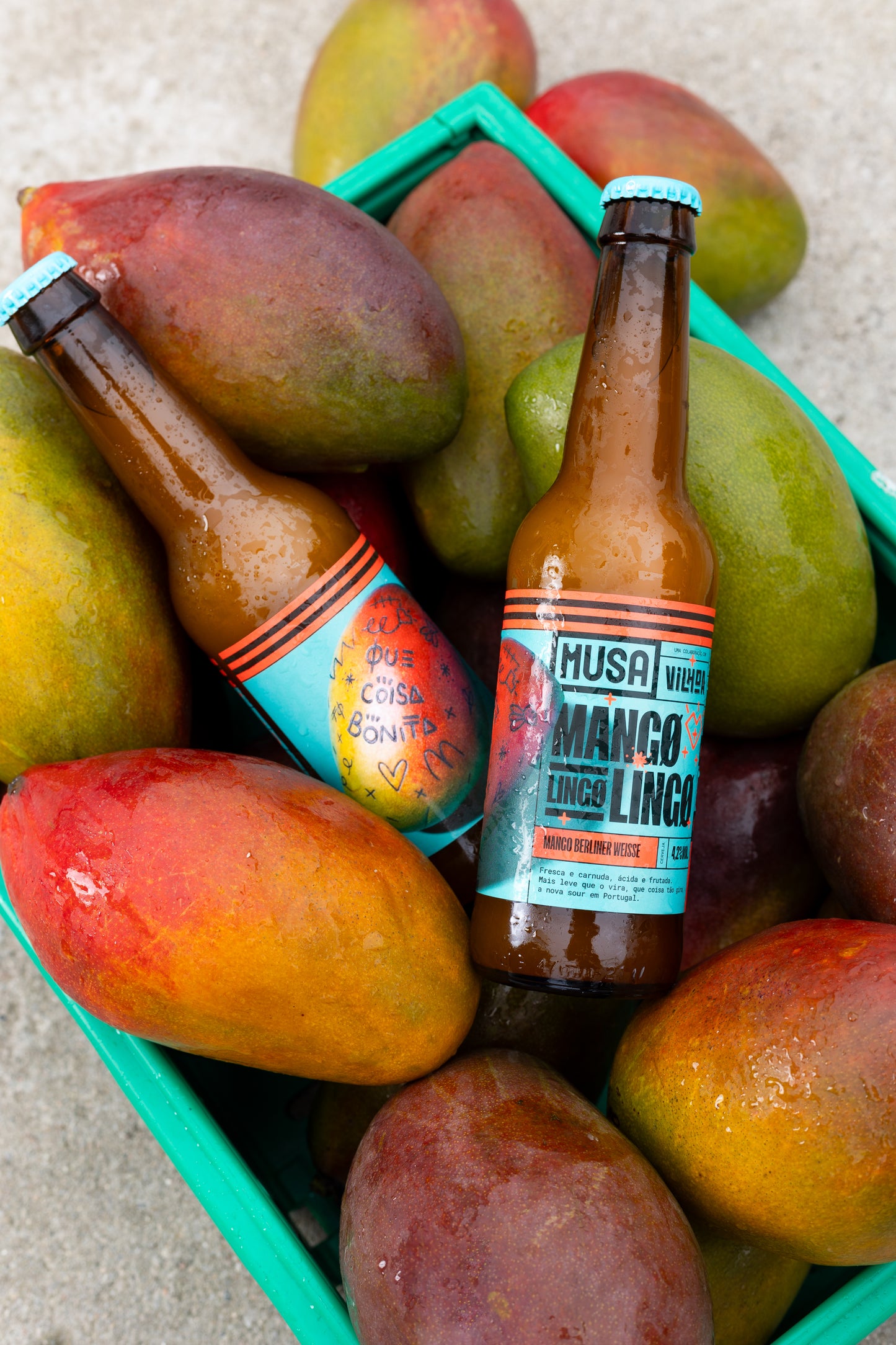 MANGO LINGO LINGO