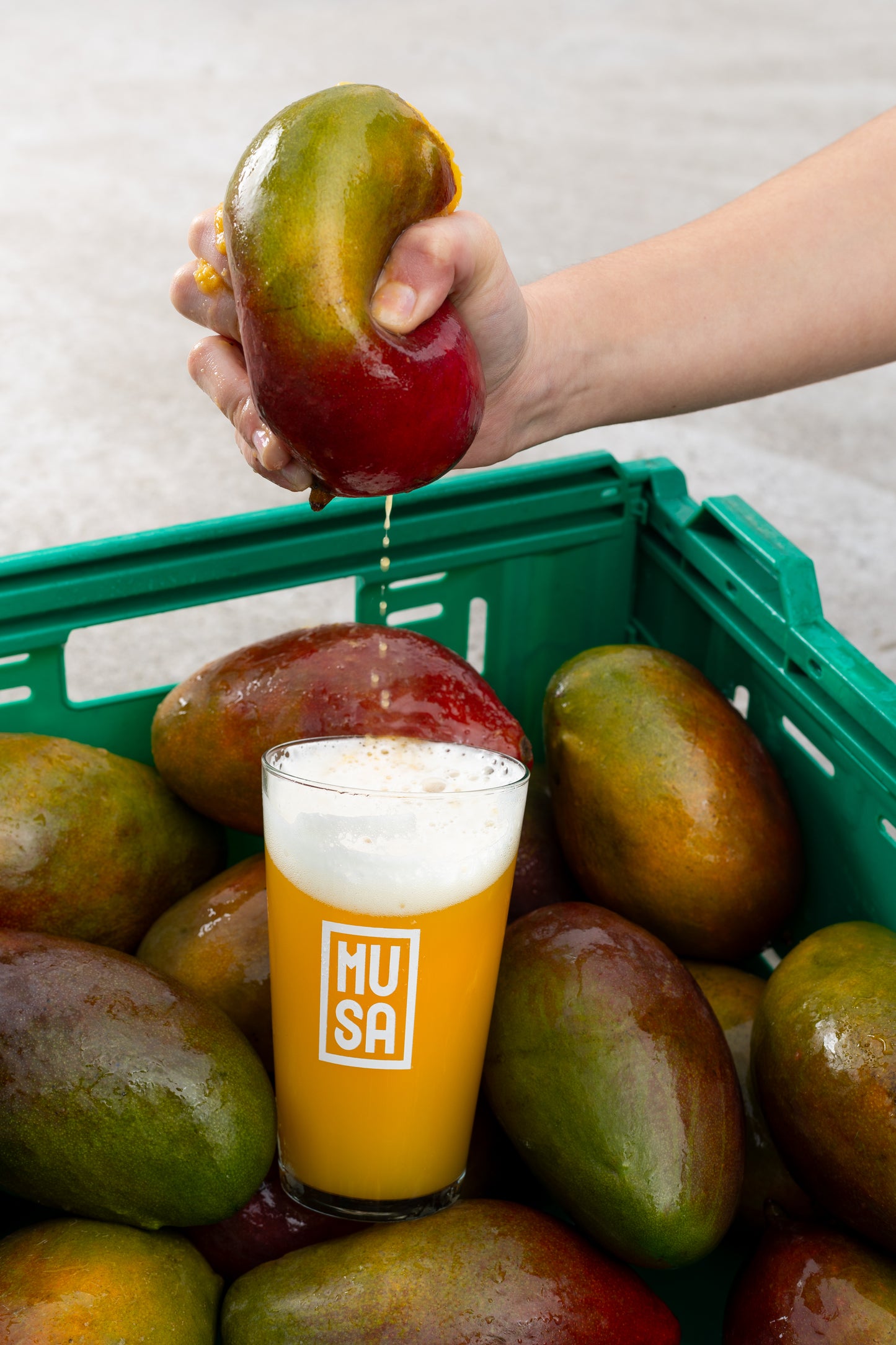 MANGO LINGO LINGO